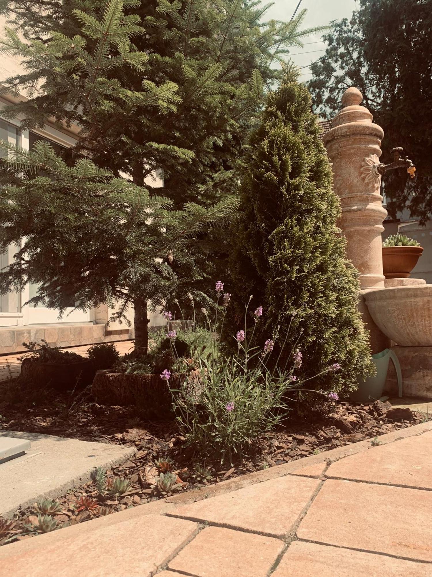 דירות Senta La Casa Tamaris מראה חיצוני תמונה